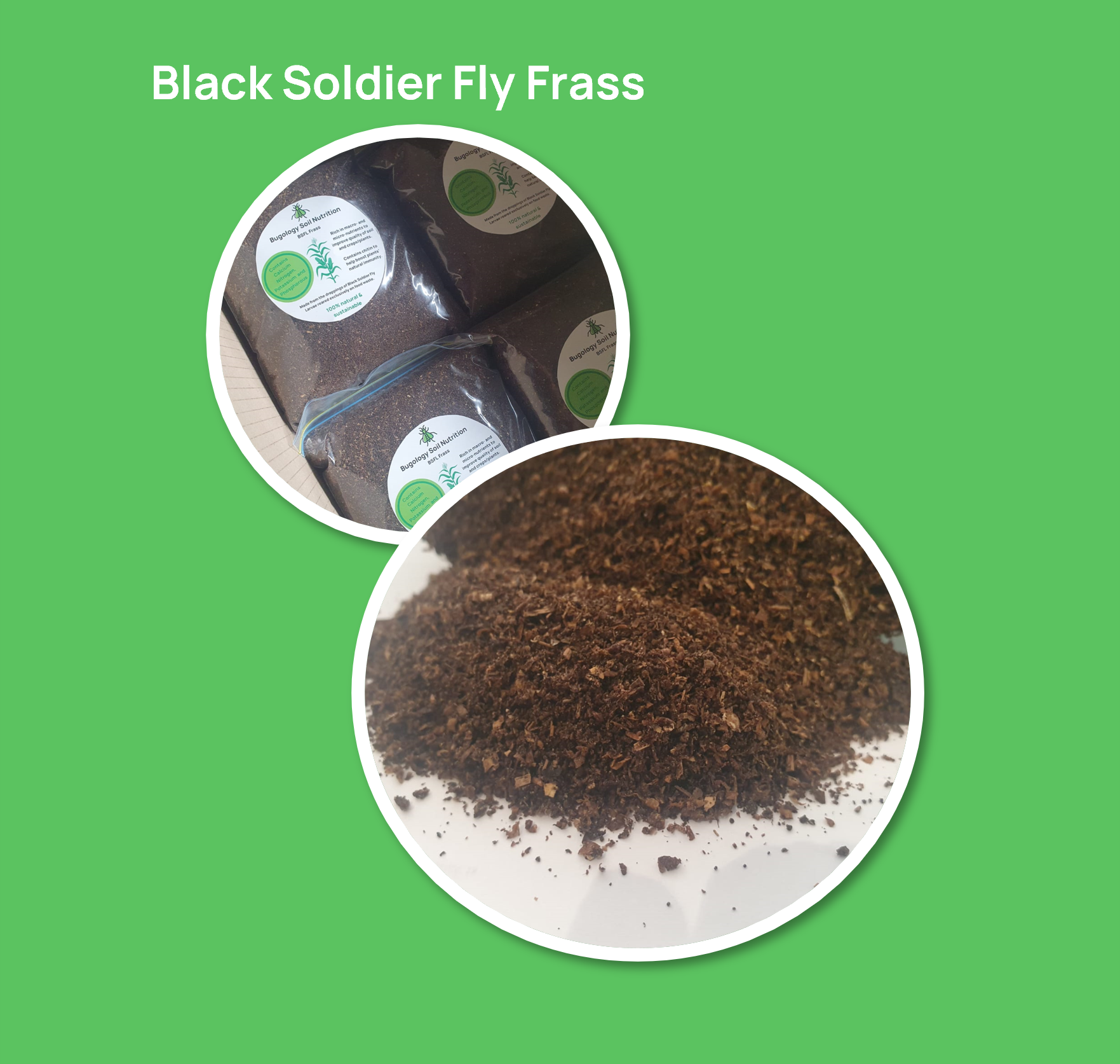 BugologyProducts-BSFLF